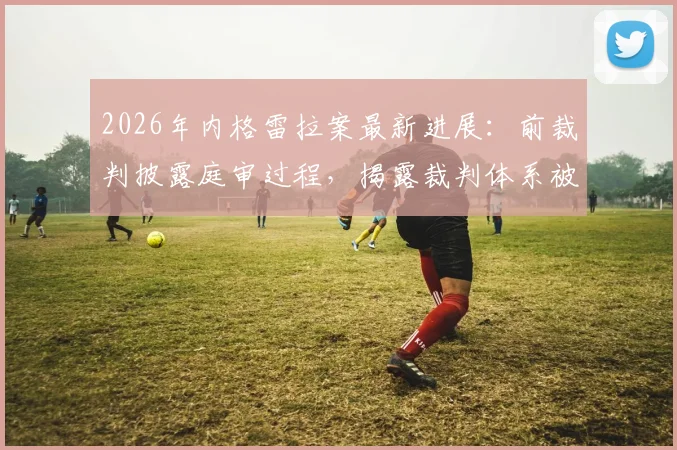 2026年内格雷拉案最新进展：前裁判披露庭审过程，揭露裁判体系被操控真相
